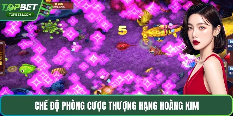 Chế độ phòng cược thượng hạng hoàng kim
