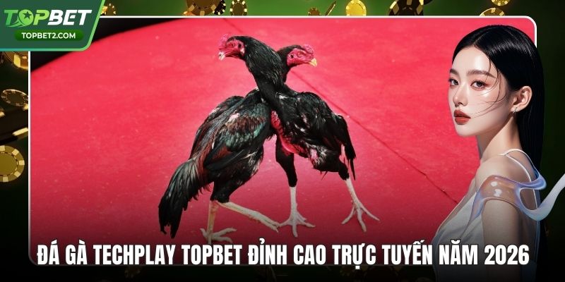 Đá Gà Techplay Topbet Đỉnh Cao Trực Tuyến Năm 2026