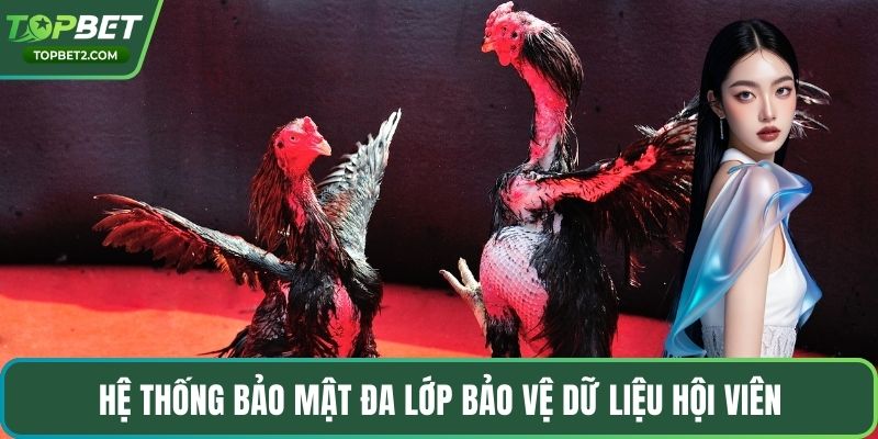 Hệ thống bảo mật đa lớp bảo vệ dữ liệu hội viên
