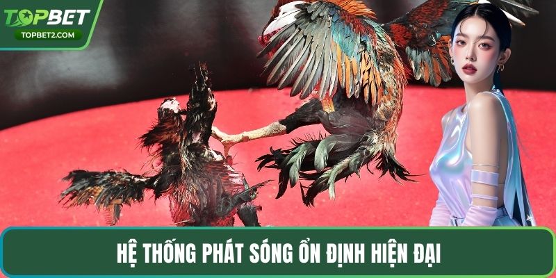Hệ thống phát sóng ổn định hiện đại
