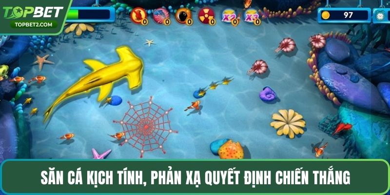 Săn cá kịch tính, phản xạ quyết định chiến thắng