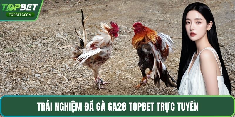 Trải nghiệm đá gà GA28 Topbet trực tuyến