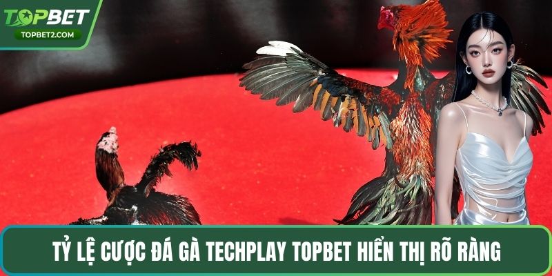 Tỷ lệ cược đá gà Techplay Topbet hiển thị rõ ràng
